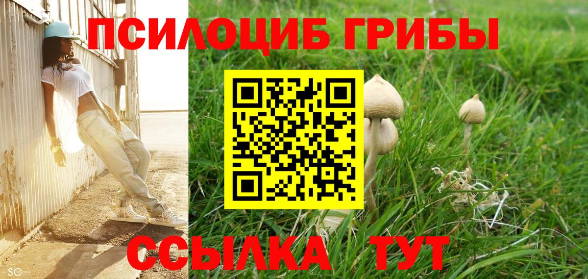 Галлюциногенные грибы ЛСД  Вход с VPN  Протвино 